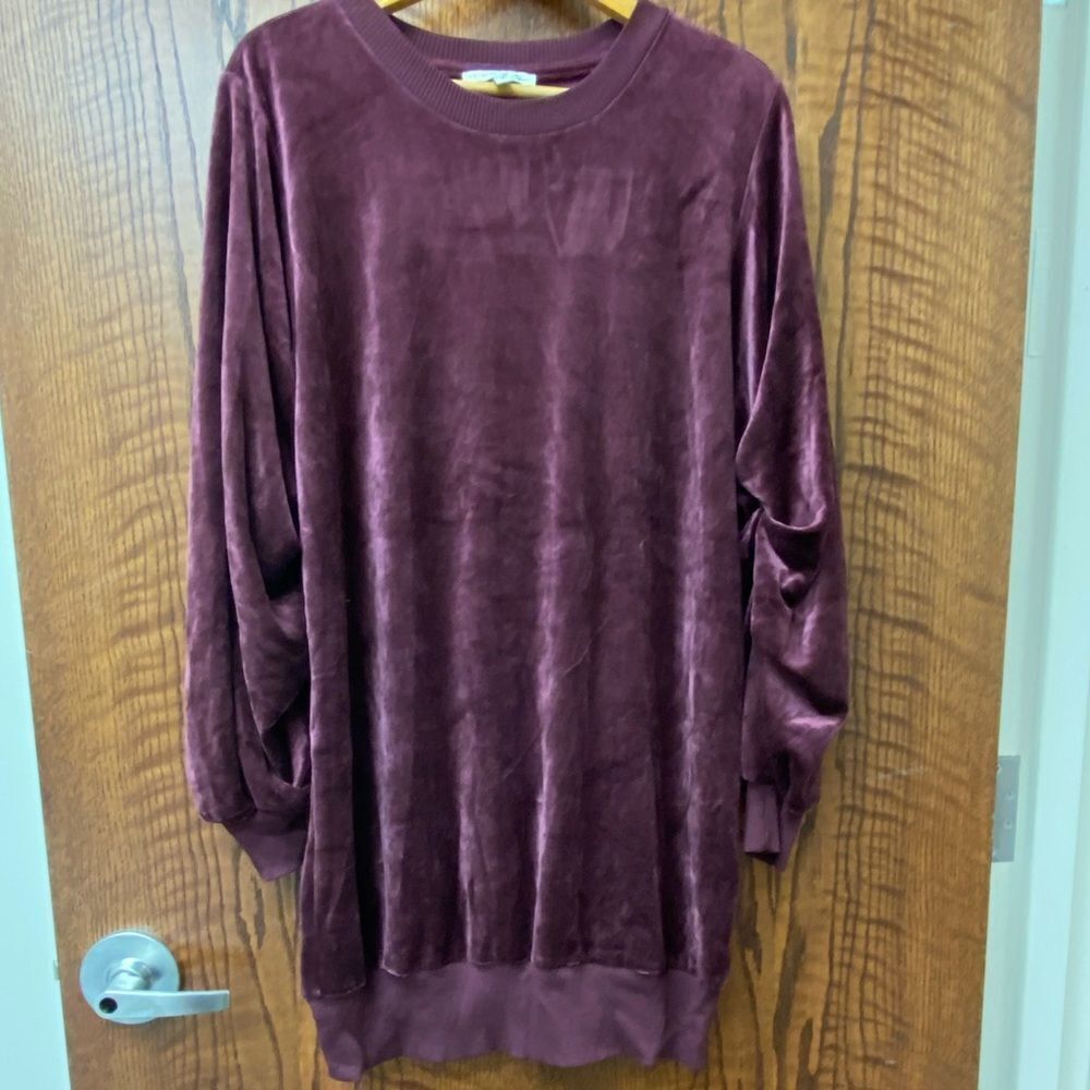 EXPRESS One Eleven Burgundy velour ruched long sleeve mini shirt dress